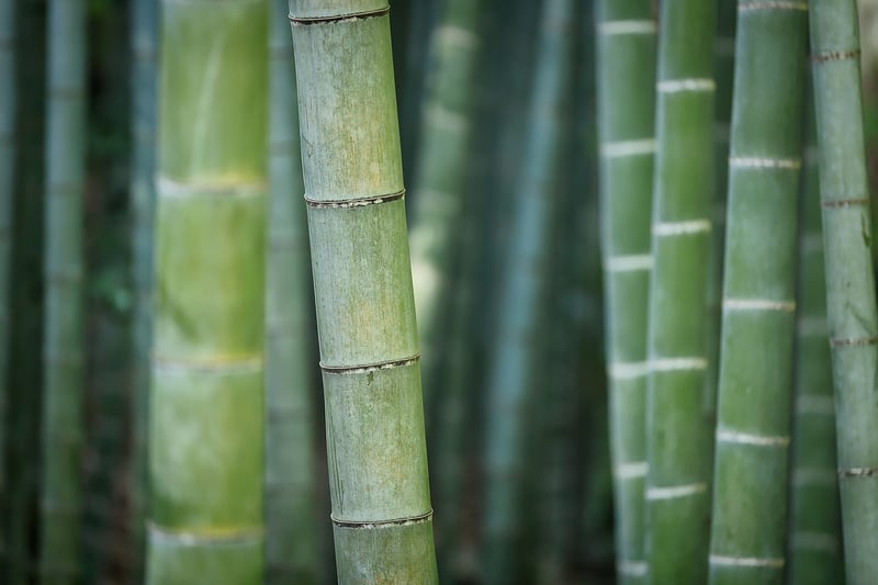 Sustainable Materials