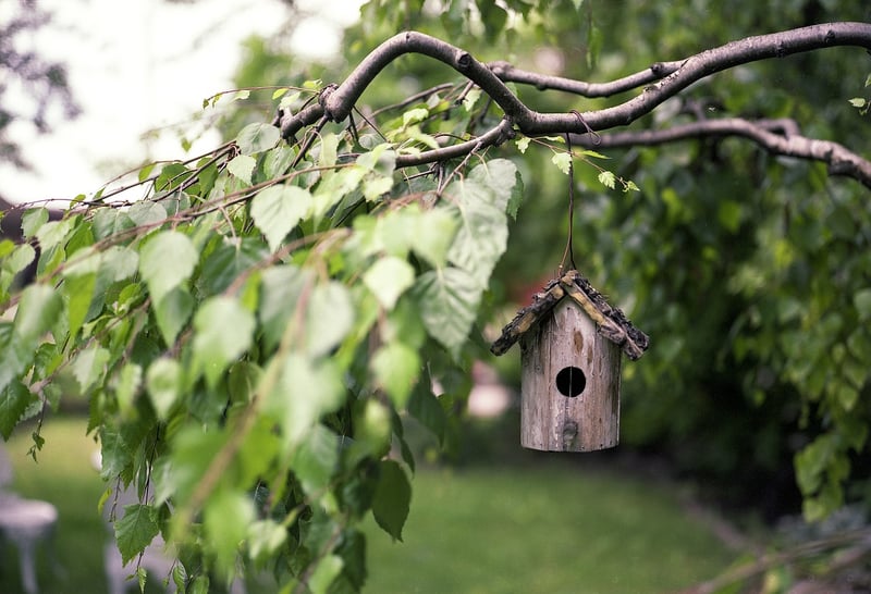 Teacup Bird Feeders