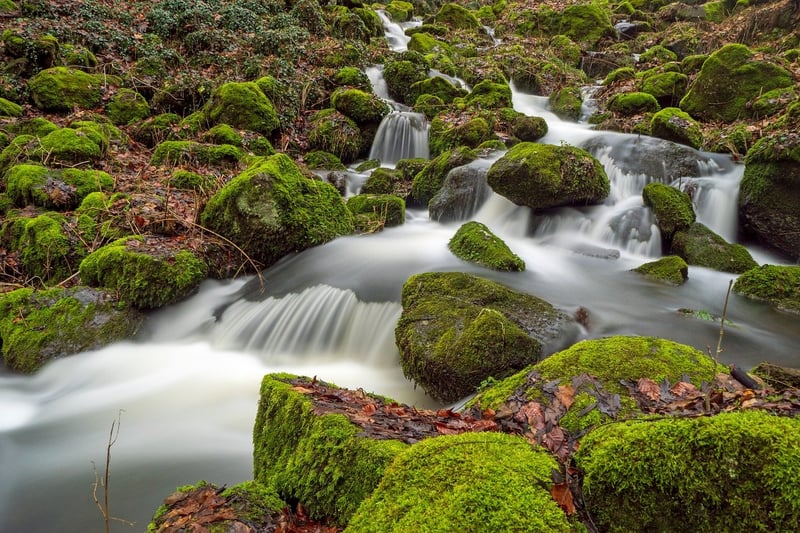 Water Conservation
